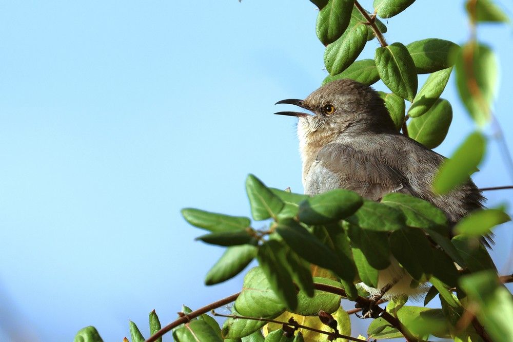 Photograph by Suhas Jadhav