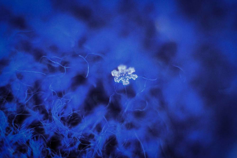 Photograph by Александра Почечуева