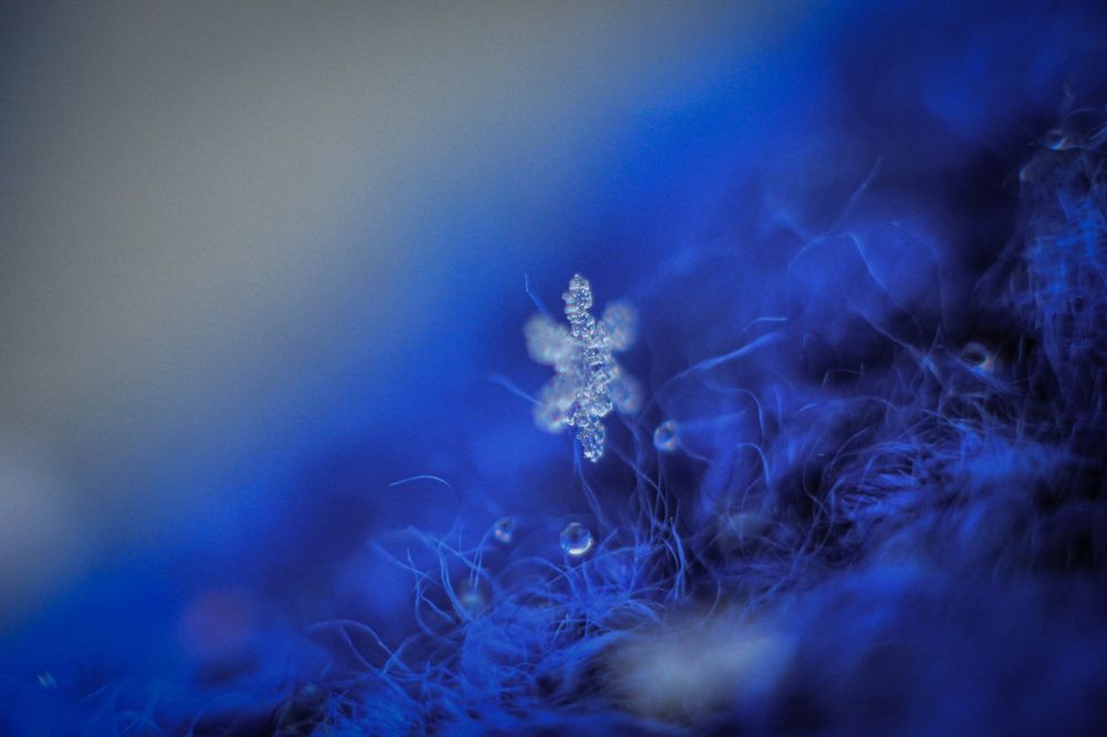 Photograph by Александра Почечуева