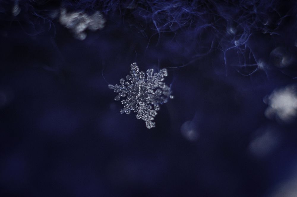 Photograph by Александра Почечуева