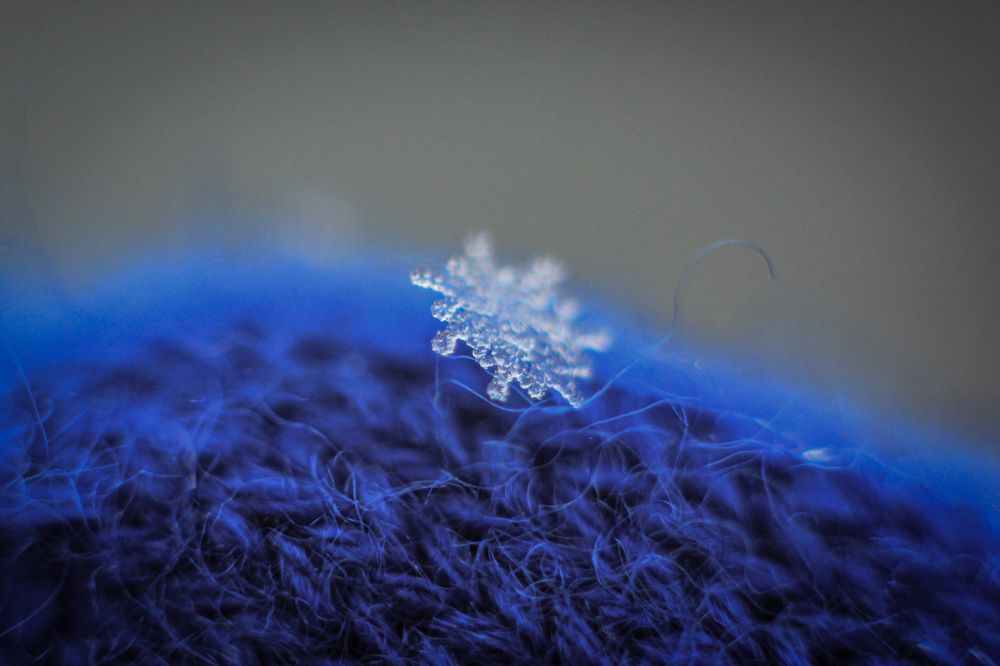 Photograph by Александра Почечуева