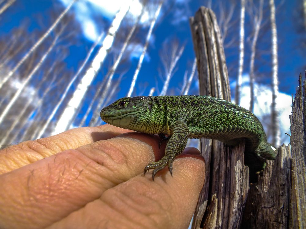 Photograph by Николай