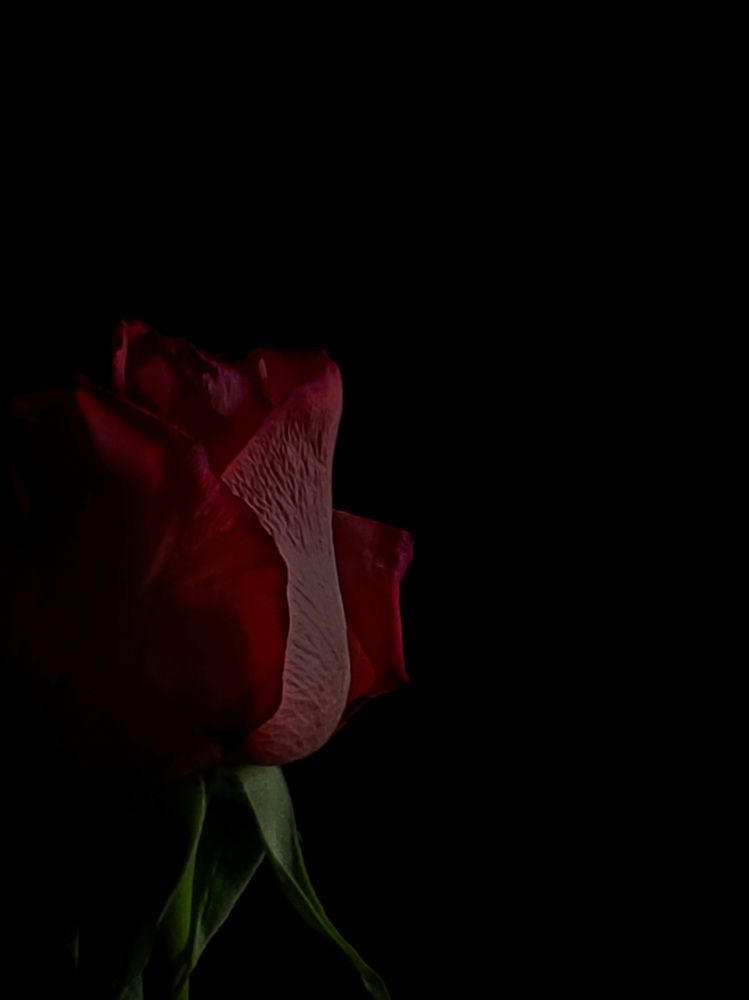 Photograph by Татьяна Пирс