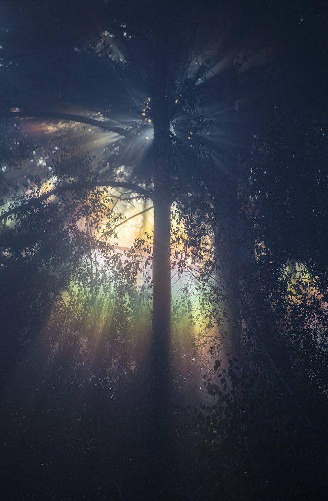 Photograph by Leanid Kulpo