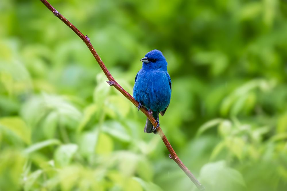 Photograph by Zhenhuan Zhou