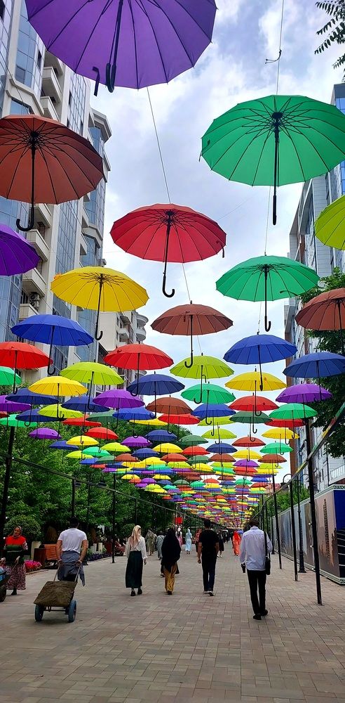 Фотография автора Наталья Владимировна