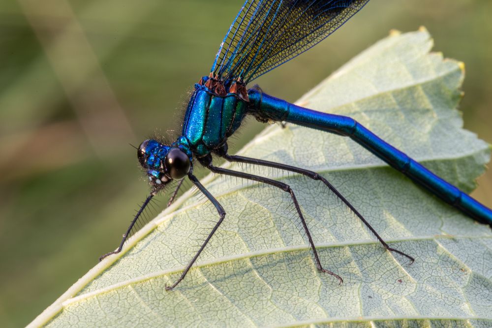 Photograph by Максим Мураков