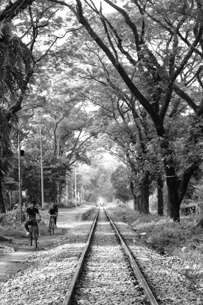 Фотография автора Sheuli Akther