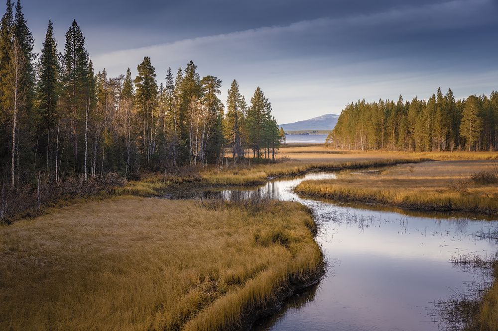 Однажды вечером....