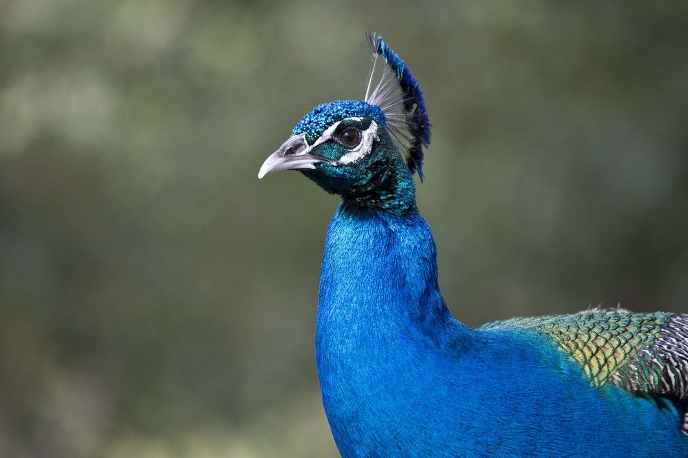 Photograph by Максим Мураков