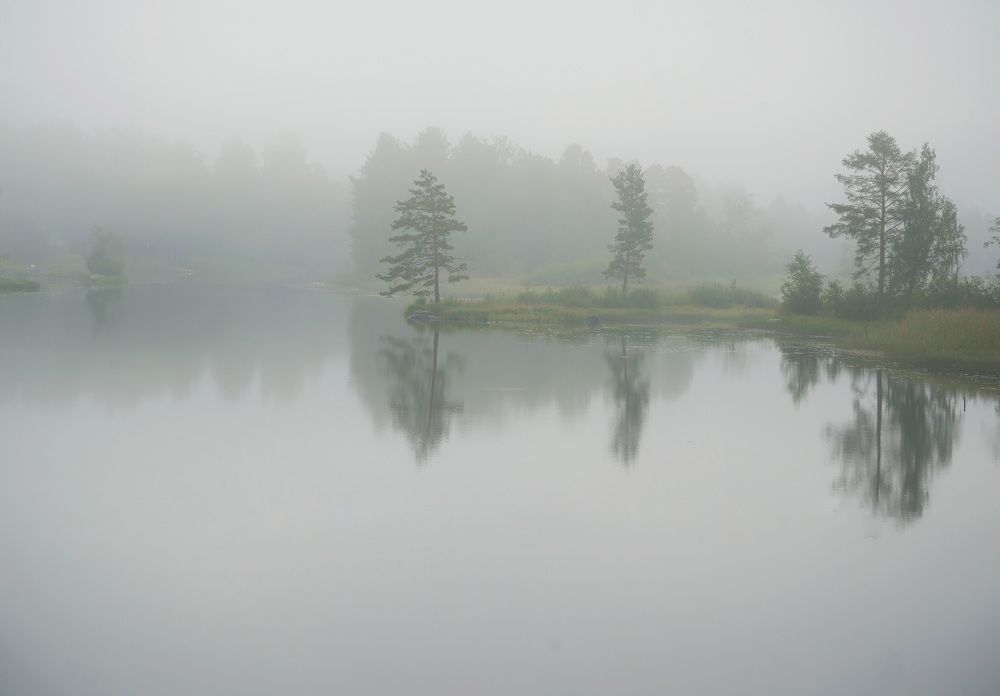 Фотография автора Ольга Егунова