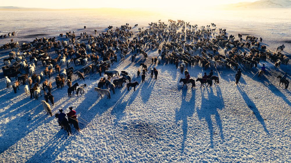 Photograph by Borjigon Bayasal