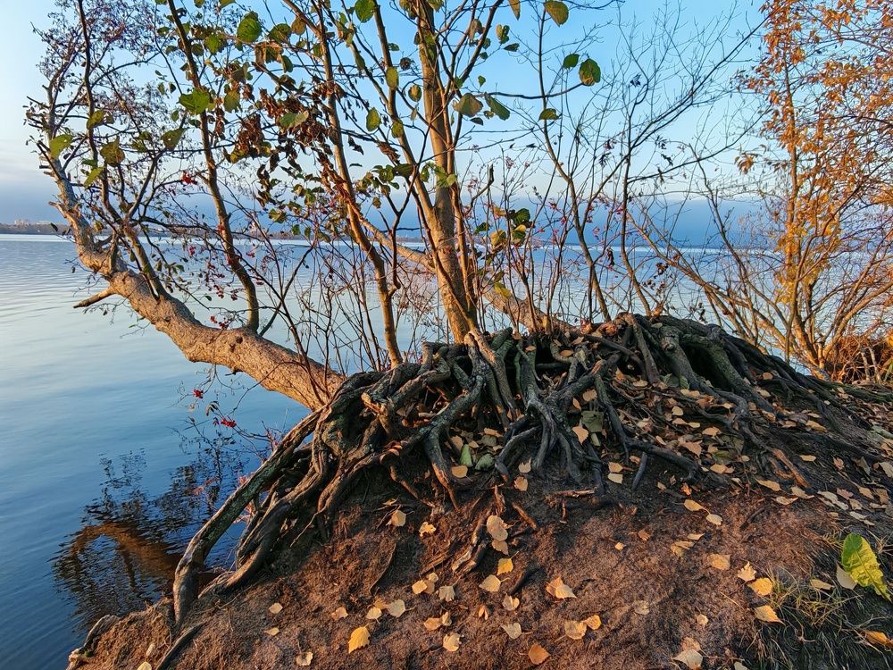 Photograph by Михаил Юрьевич