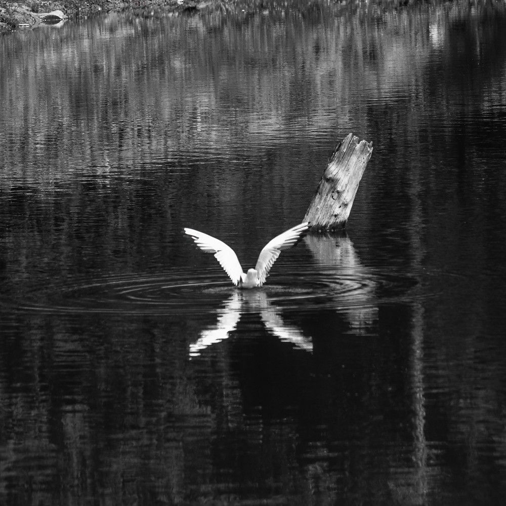 Photograph by Kseniya Shilina