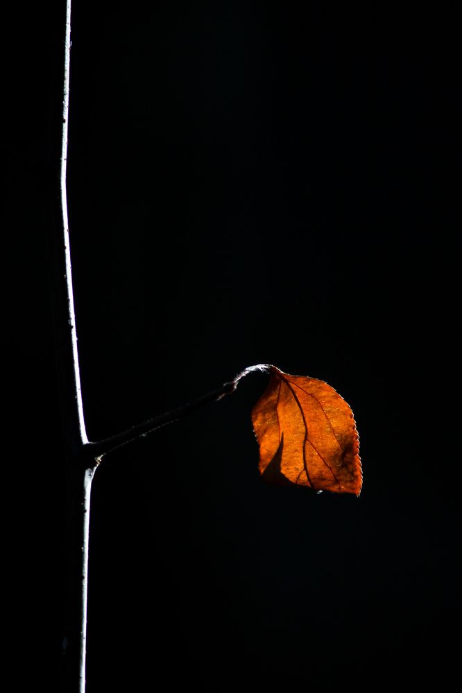 Чернее чёрного