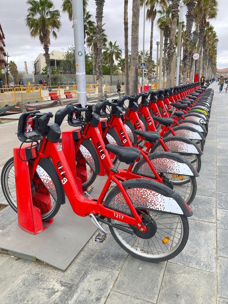 Фотография автора Елена