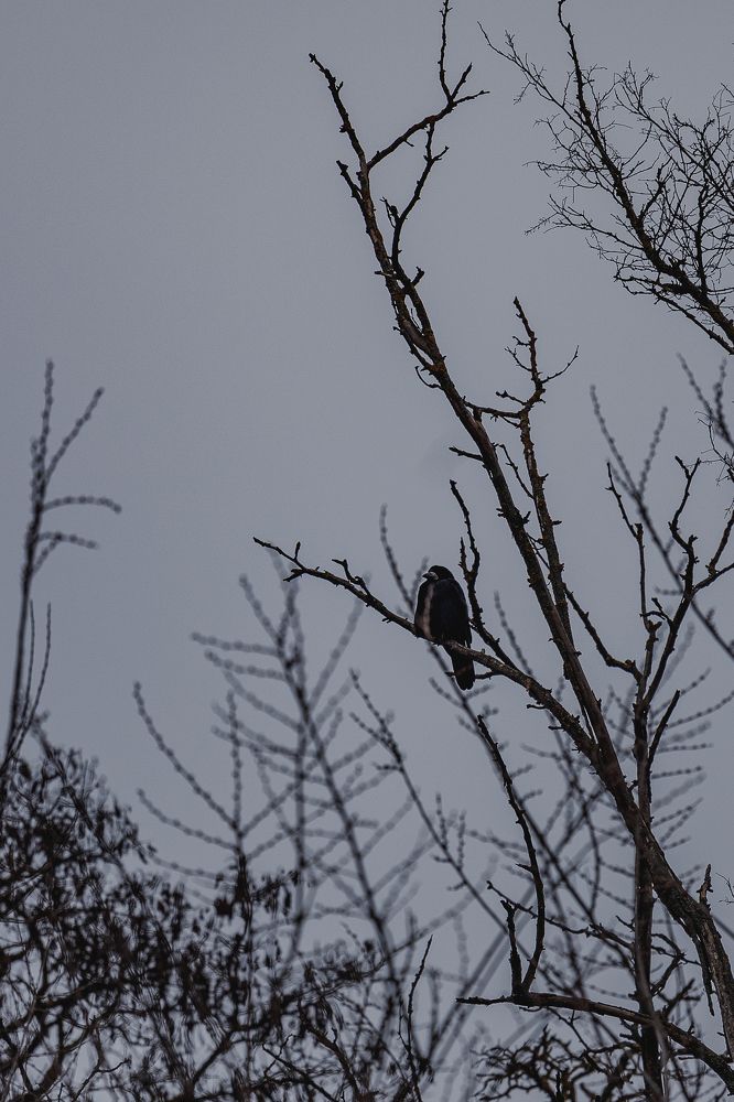 Photograph by Дмитрий Казачек