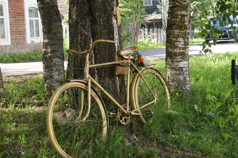 Photograph by Елена