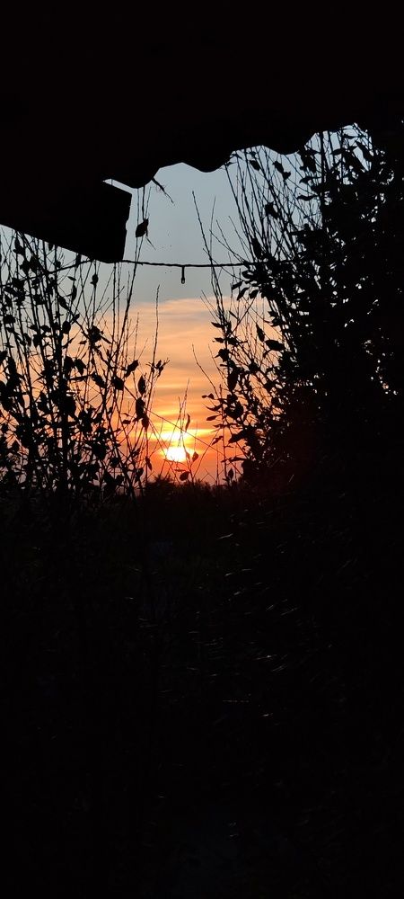 Photograph by Ольга Булдакова