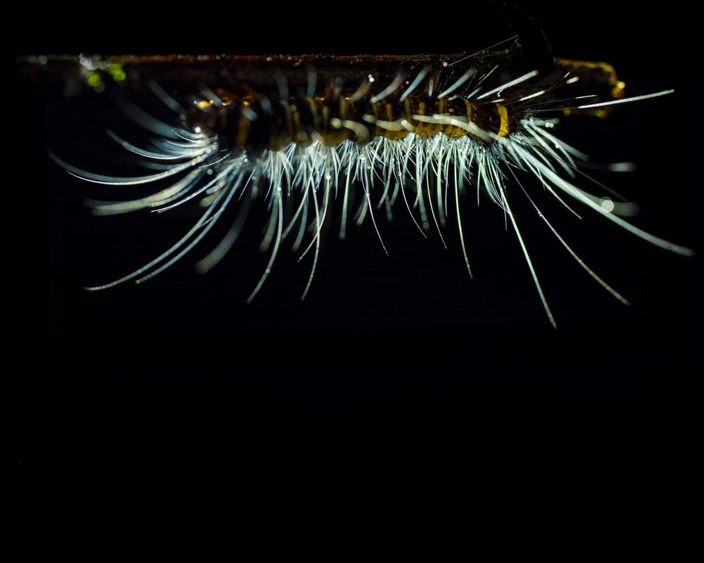 Photograph by Abhisek Bagaria