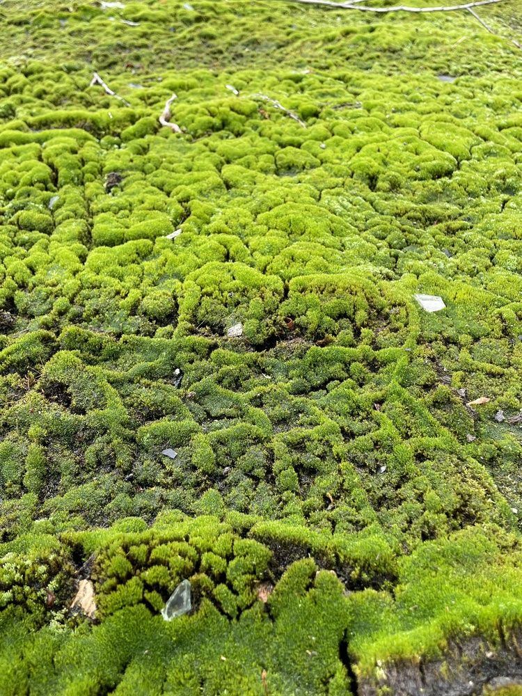 Photograph by Яна Бойко