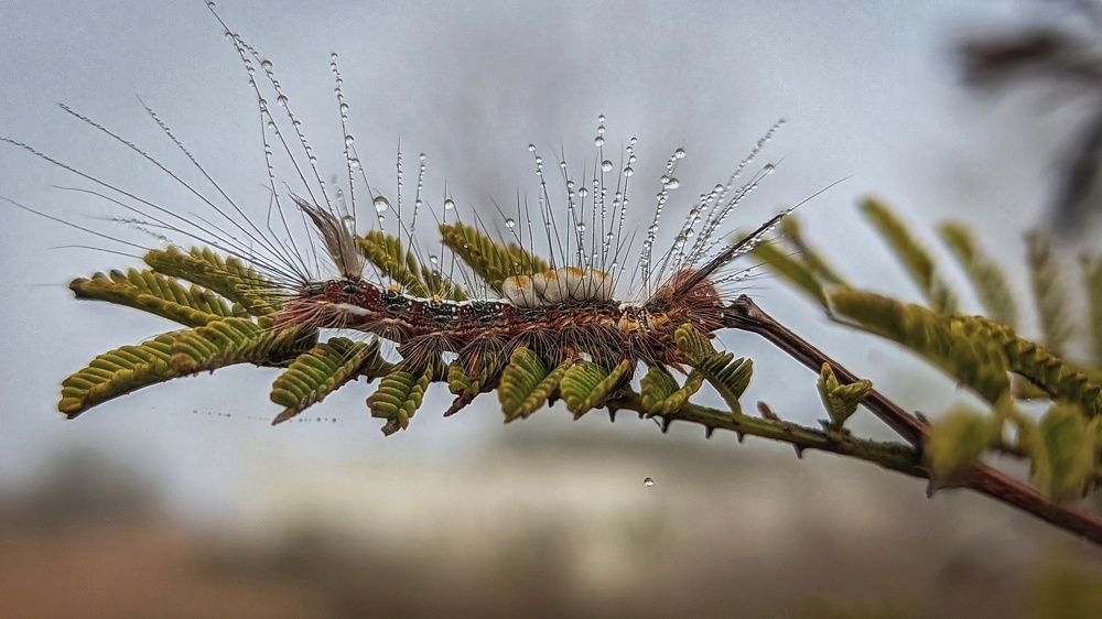 Photograph by Vijayakumar