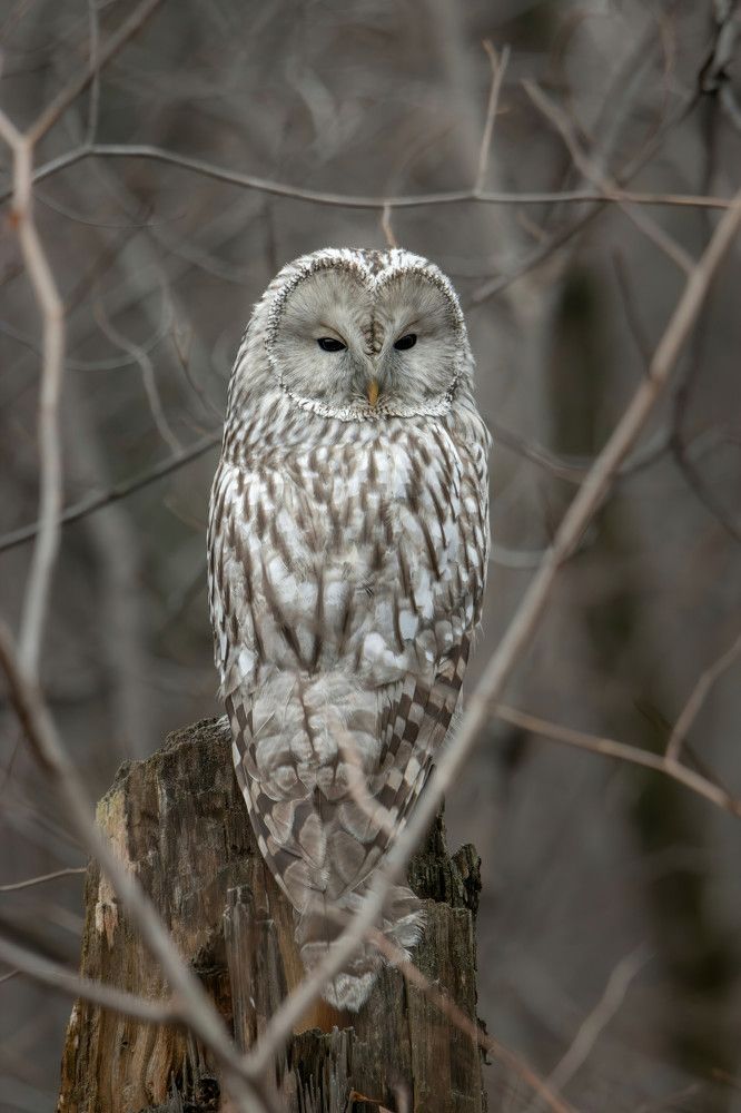 Photograph by Бурыкин Илья