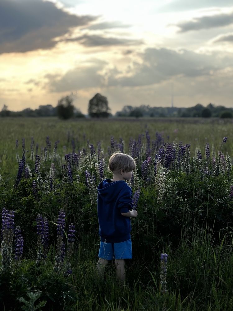 Photograph by Viktorija Bočarova