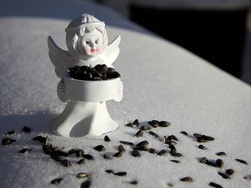 Фотография автора Nelya  Lysenko