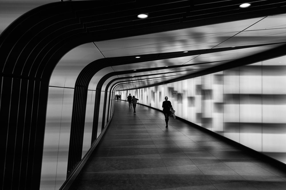 Фотография автора OVIDIU-IOAN TICU