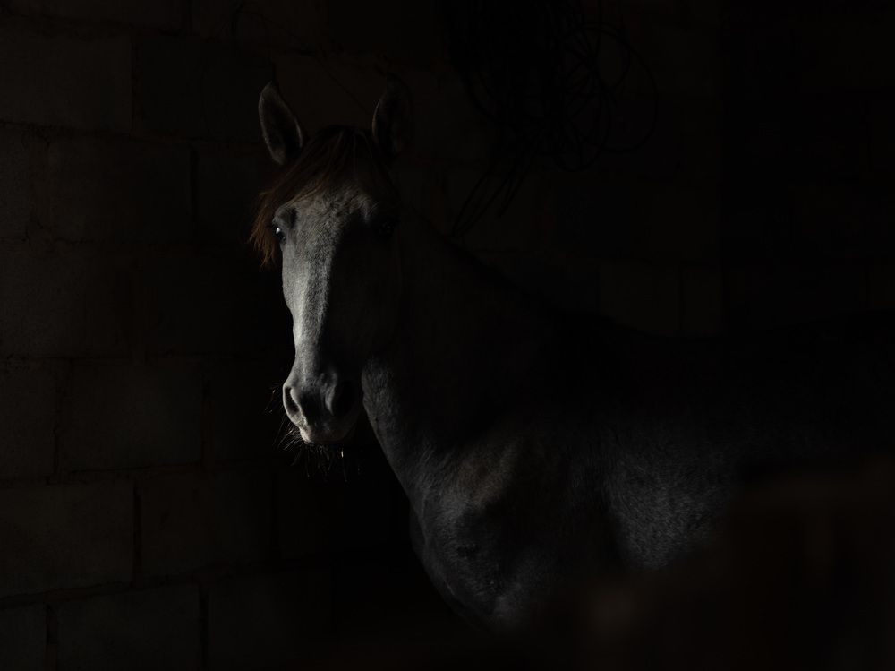 Photograph by Наталья Булава