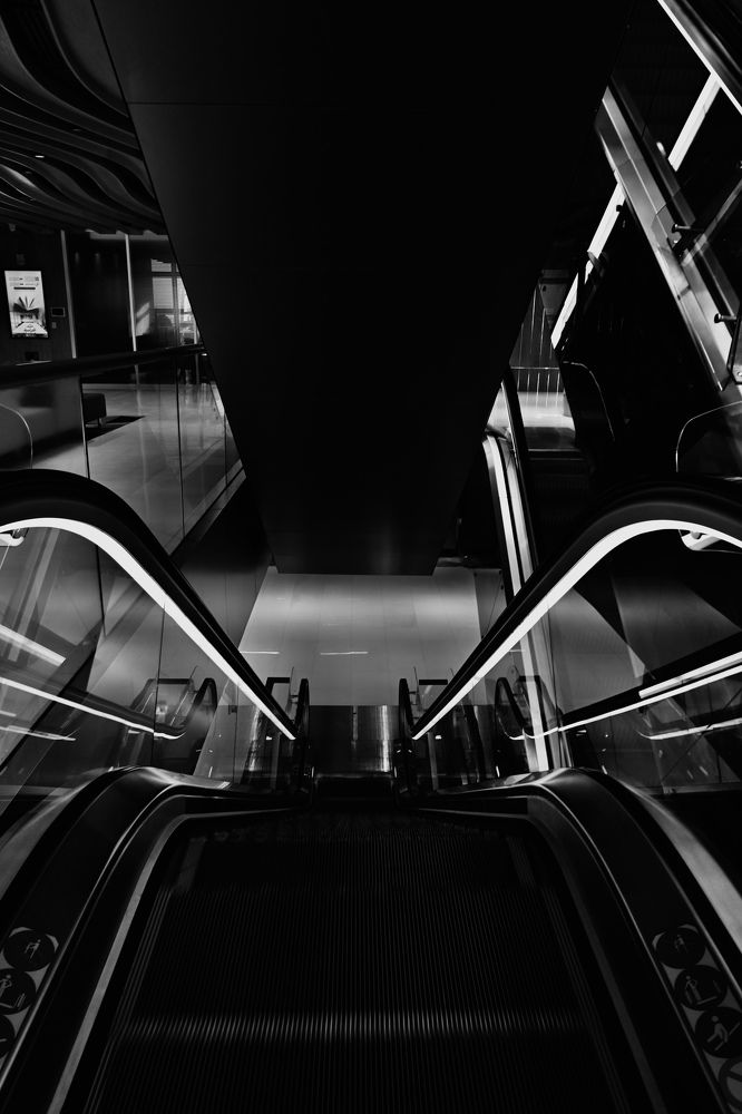 Фотография автора Sarrah Yehia