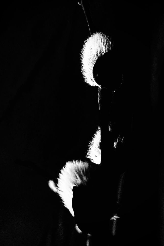 Photograph by Татьяна Мустафина