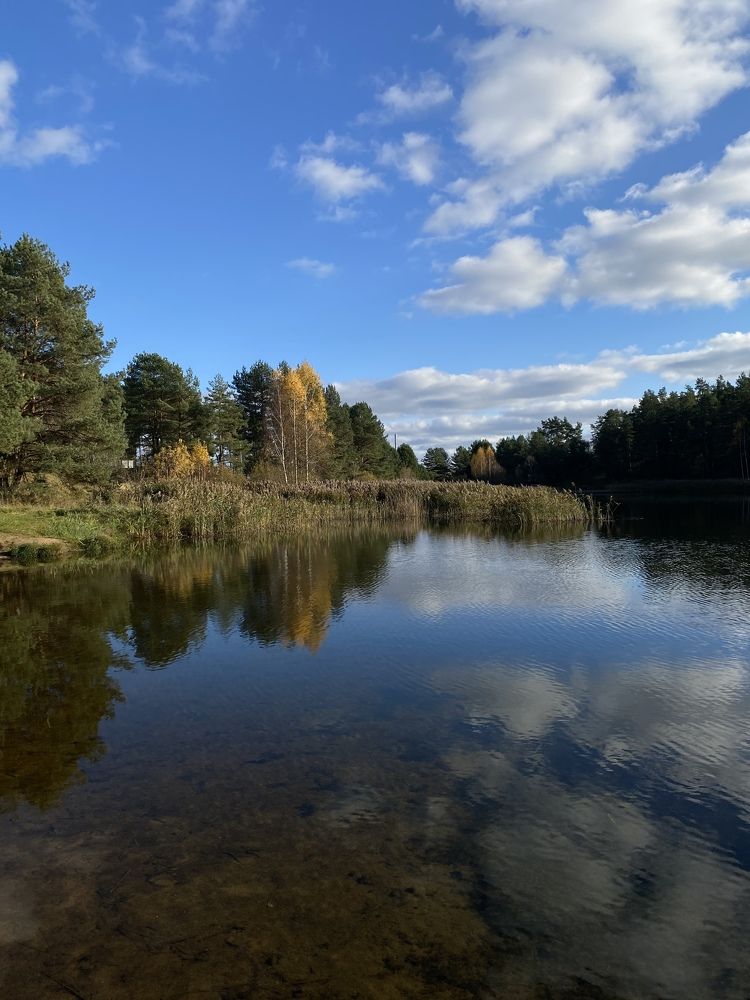 Photograph by Анна Кулакова