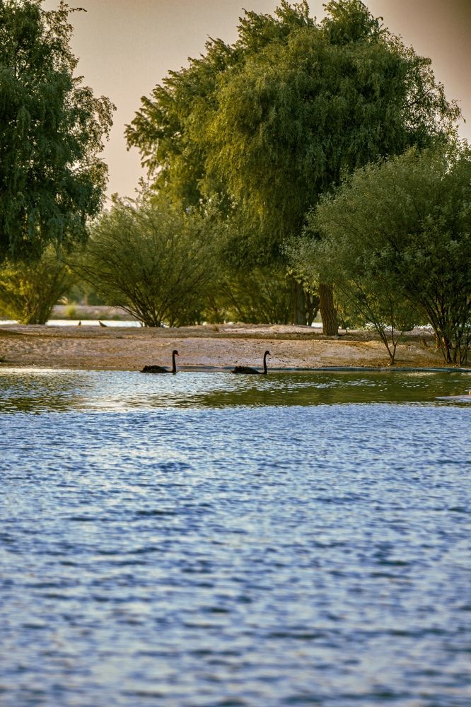 Фотография автора Sarrah Yehia