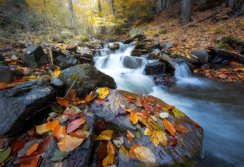 Photograph by Alexander Ornatskiy