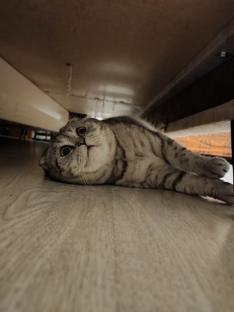 Photograph by Инна Новикова