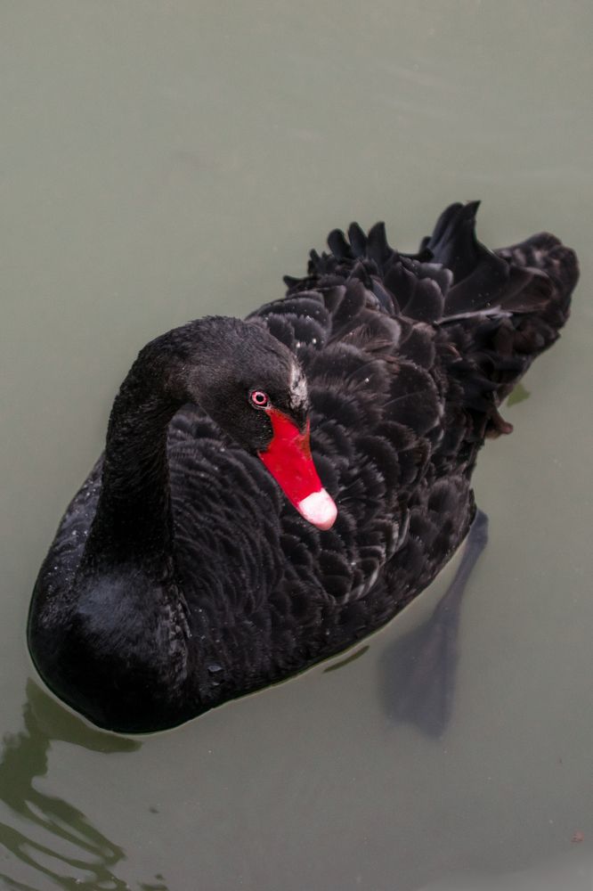 Photograph by Альфия Агзами