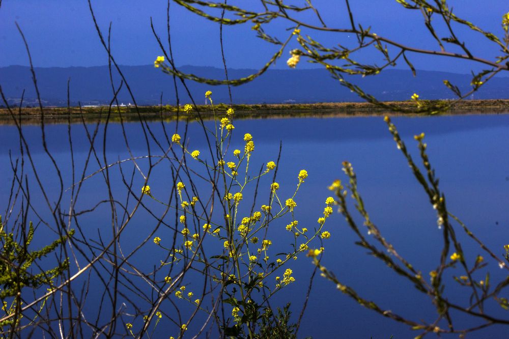 Photograph by Manish (Valmie) Joshi