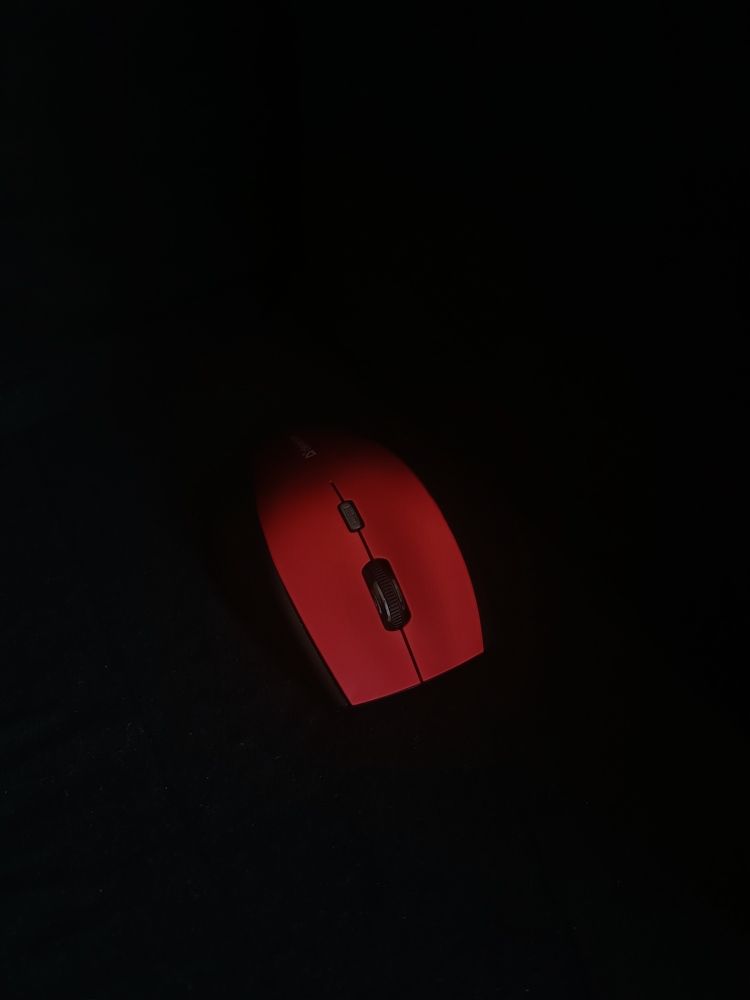 Photograph by Елена Пархоменко