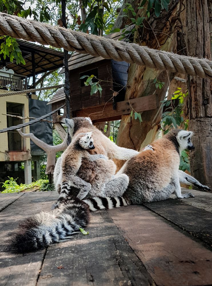 Photograph by Оксана Сафина