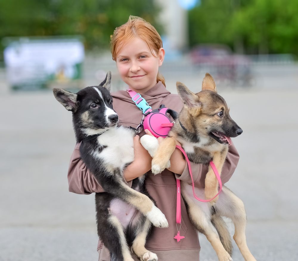 Photograph by БОРИС АНТОНОВ