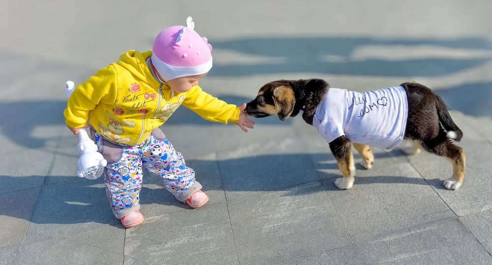 Photograph by БОРИС АНТОНОВ