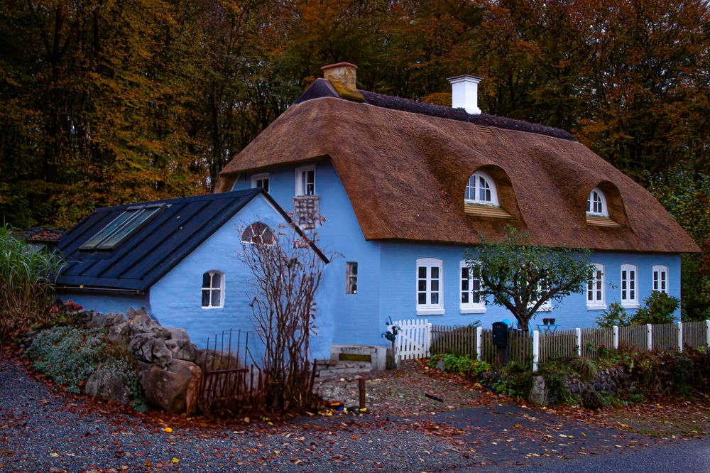 Фотография автора Alyona Madsen