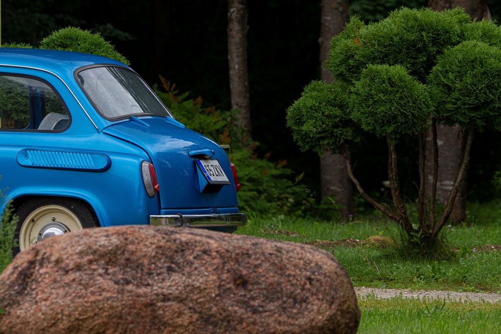 Фотография автора Alyona Madsen