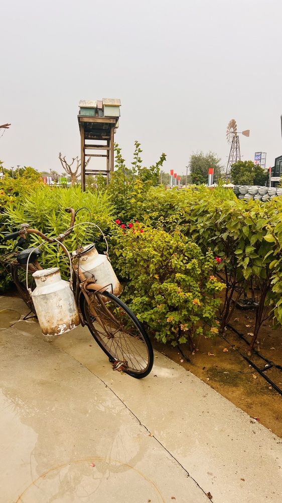 Фотография автора Sarrah Yehia