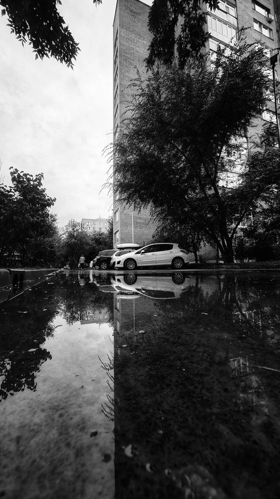 Фотография автора Ольга Гаевская