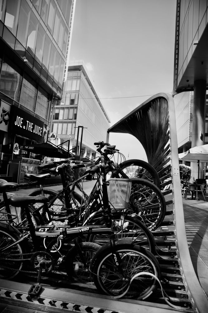 Фотография автора Sarrah Yehia