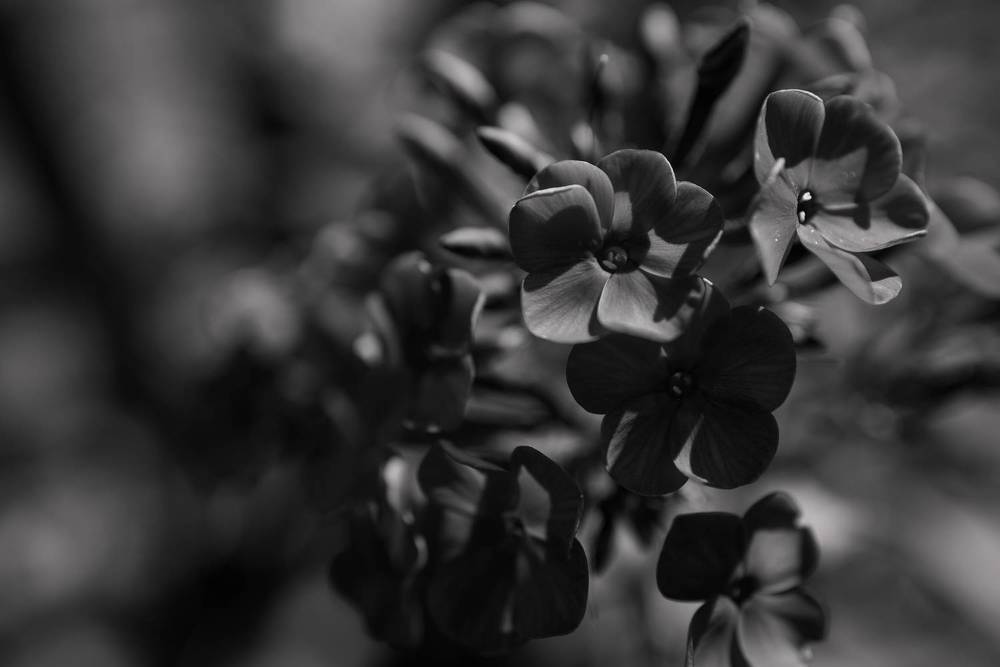 Фотография автора Войнов Дмитрий