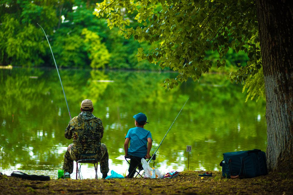 Photograph by Виталий Новиков